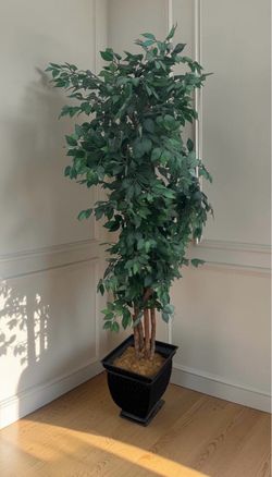 87” Indoor Artificial Silk Leaf Ficus Tree! Great condition!