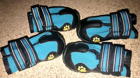 Dog Shoes