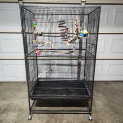 Big Bird Cage 