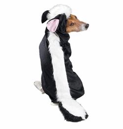 Halloween pet costume XXL
