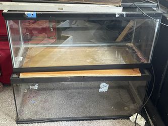 (2) 20 Gallon Tanks ($50 Each)
