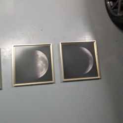 Phases Of The Moon Wall Art