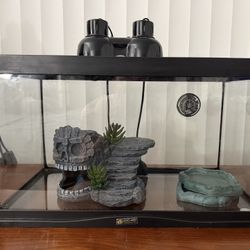 Reptile Tank