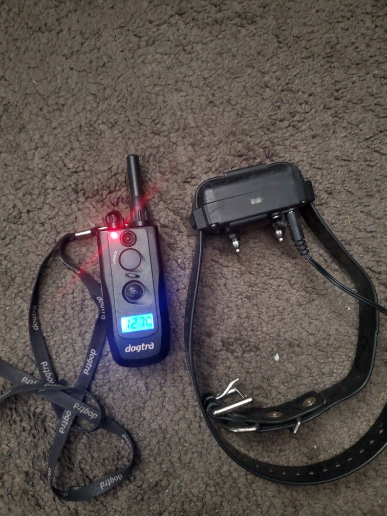 Dog Bark Collar/w Remote