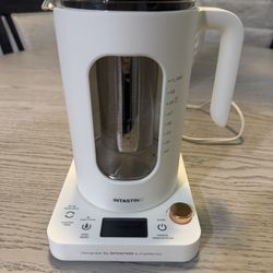 Electric Tea Kettle