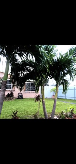 Apartment 2 bedroom 1 bathroom completely independent living space