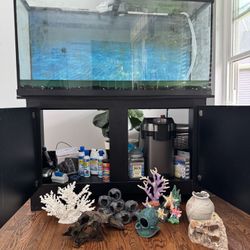 Fish Tank
