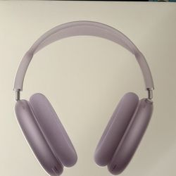 Purple Maxes (Taking Offers)