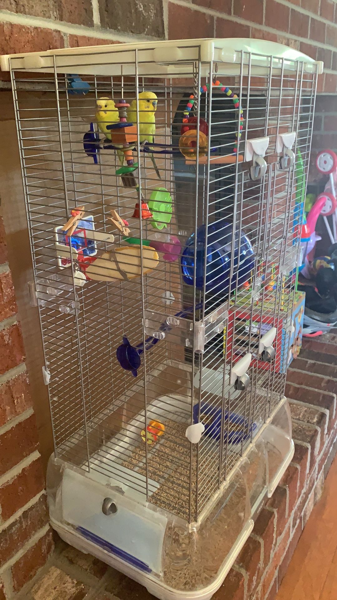 Vision Bird Cage with extension and all accessories