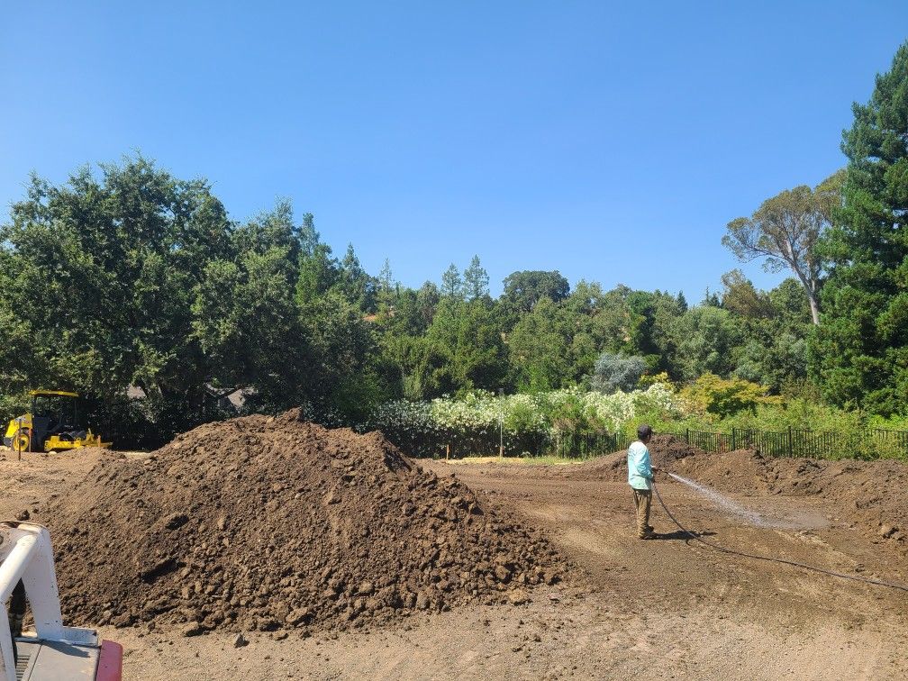 freee land and dirty land