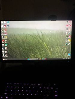 Two gaming monitors