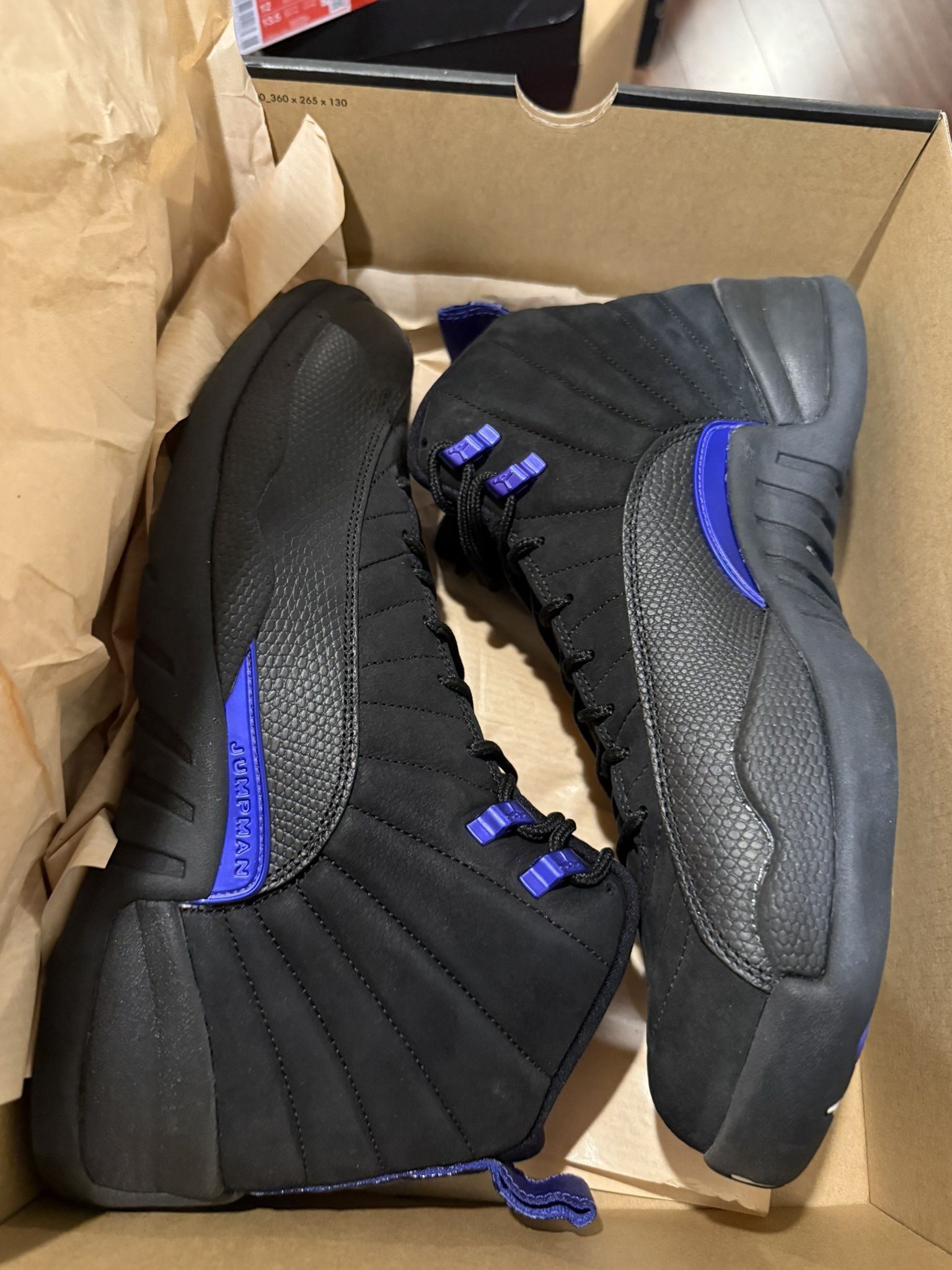 Jordan 12 Concord