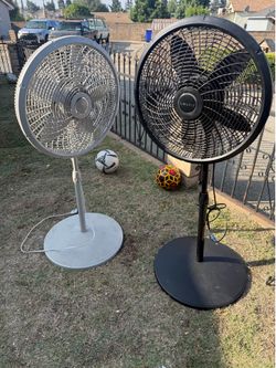 Fan