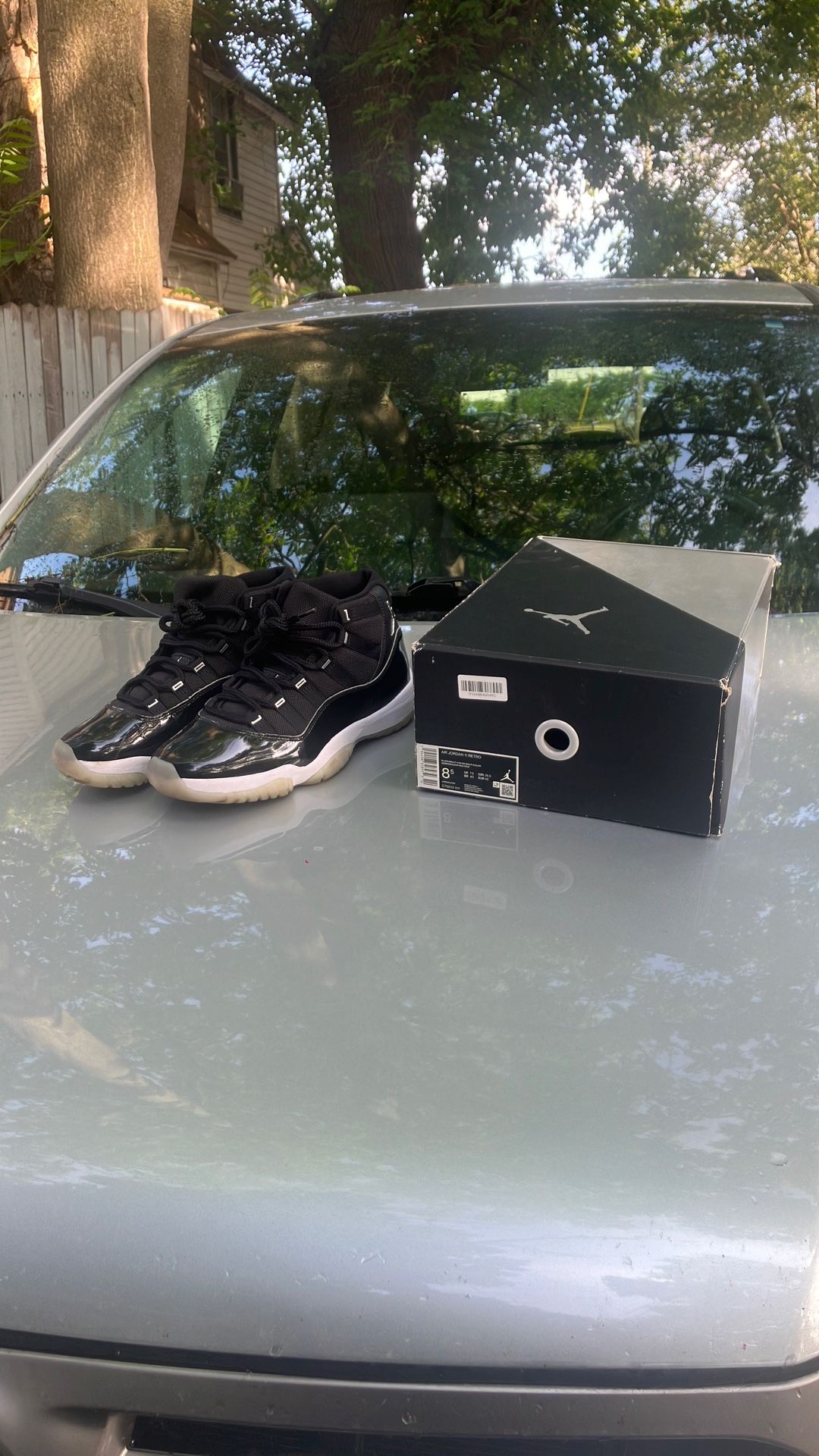 Jordan 11 Jubilee 25 Anniversary 