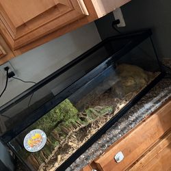 Reptile terrarium