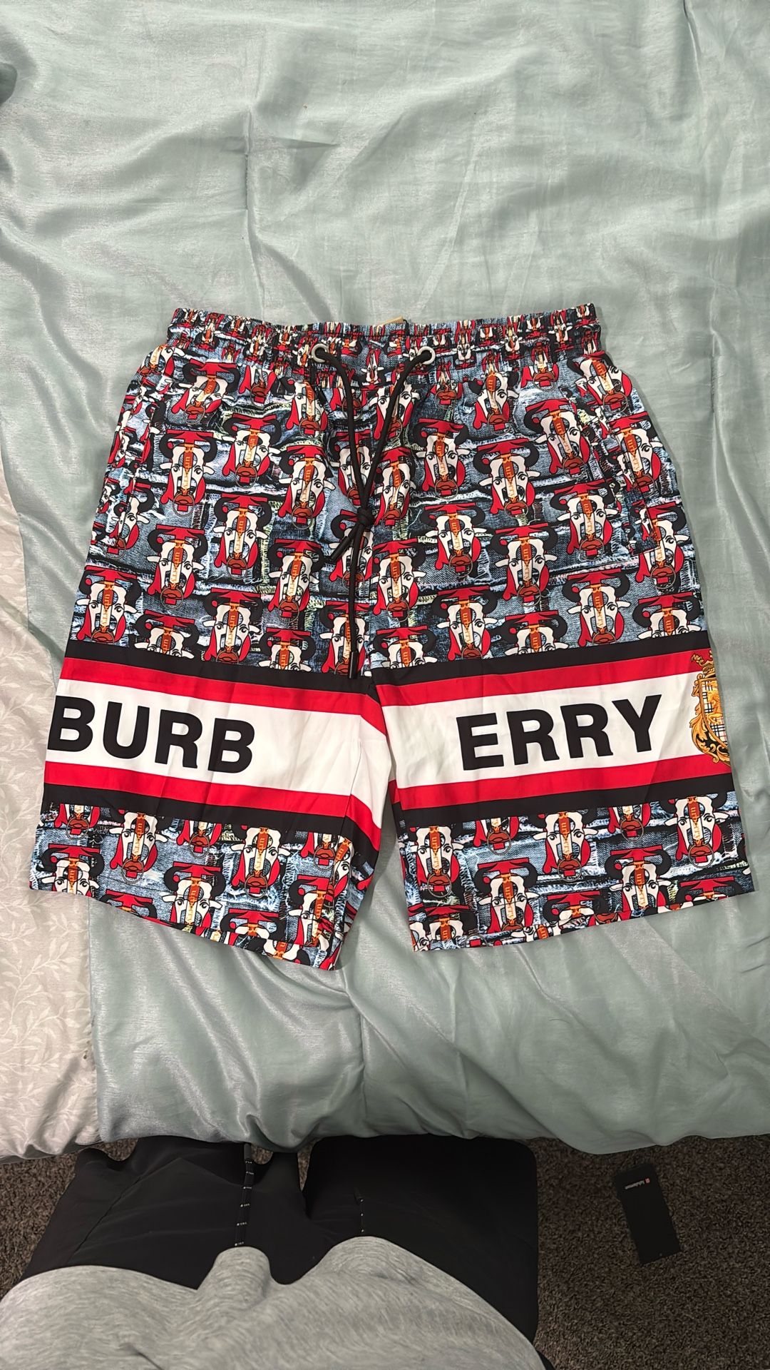  Burberry Swim Trunks 