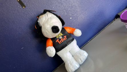 Snoopy pirate