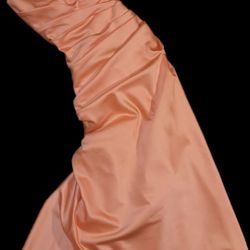 Coral David's Bridal Gown