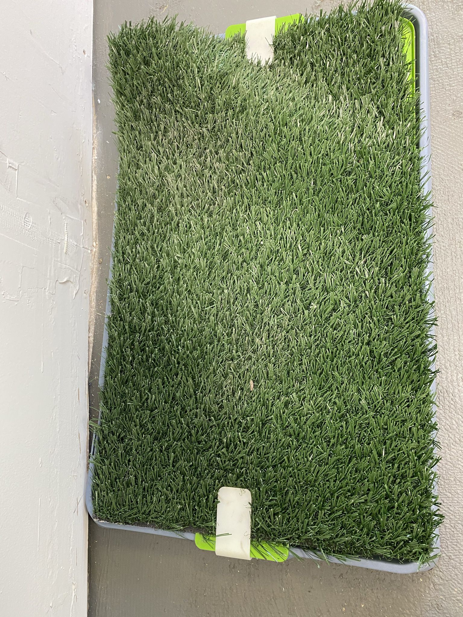 Puppy potty trainer grass mat and tray