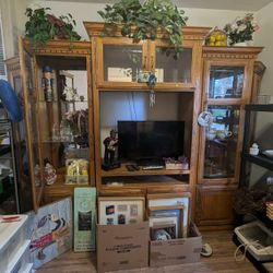 Big Entertainment Center