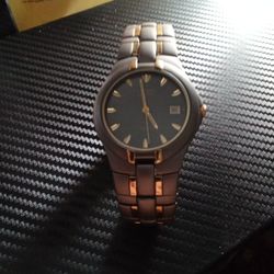 Citizen Titanium Quartz