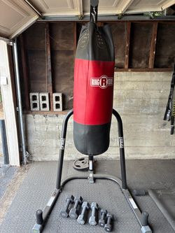 Ringside Heavy Bag on Everlast Stand