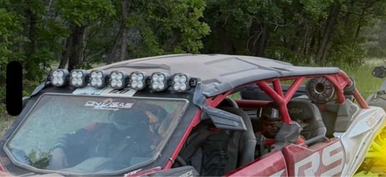 Canam x3 roof an side mirror