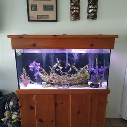 Fish Tank 