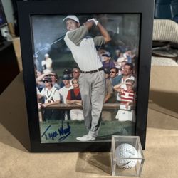 Tiger Woods 