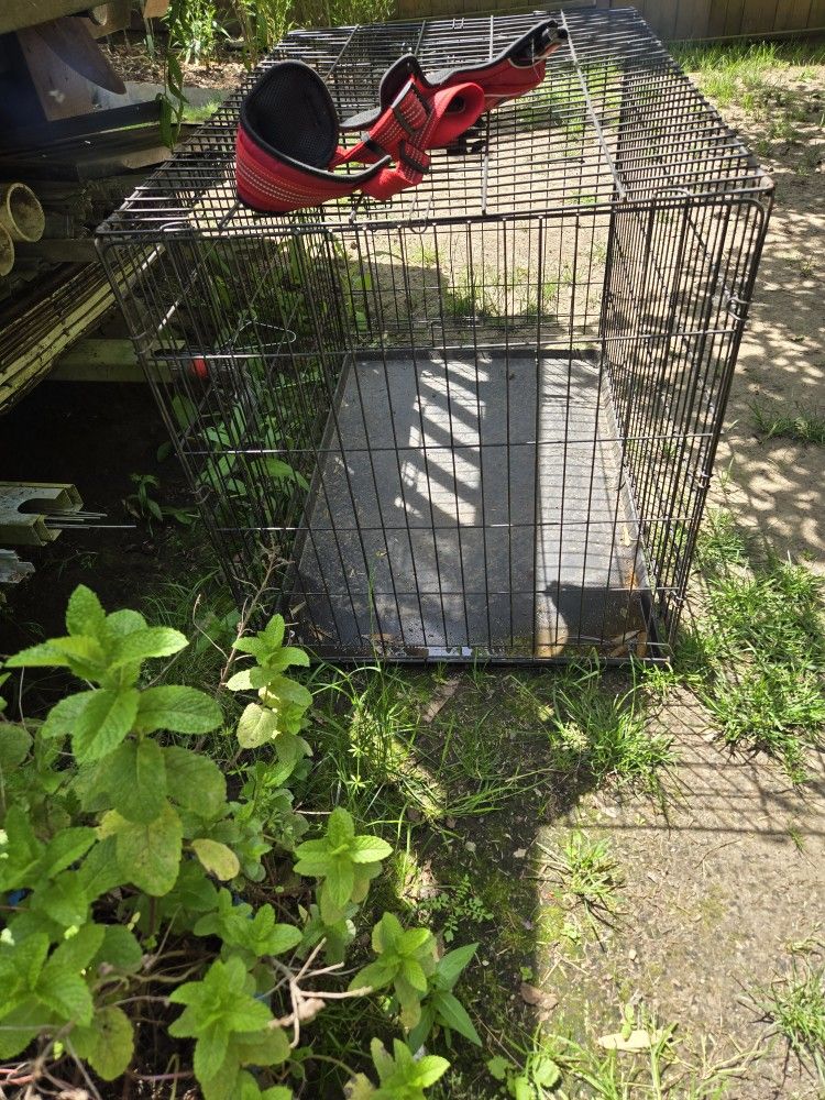 Metal dog kennel (Like New)