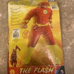 Flash Halloween Costume