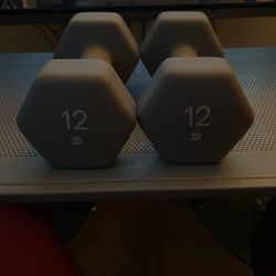 Wights 12 Lbs