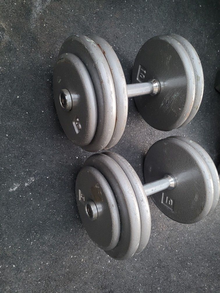 50lbs  Dumbells Weights