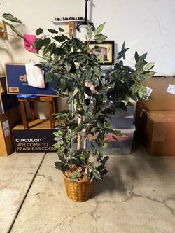 Artificial Floor Plants in Woven Baskets - Ficus & Dieffenbachia (Buy Both or Individual)