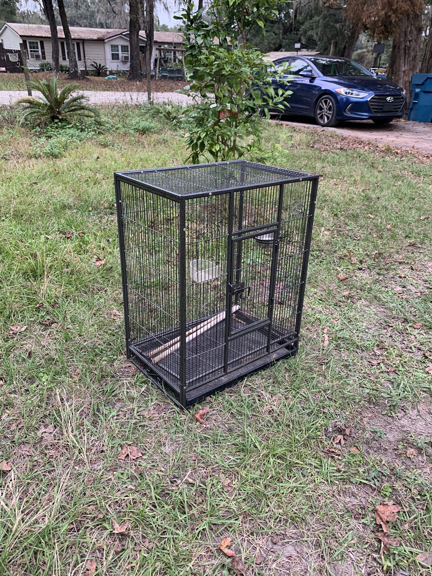 Bird Cage