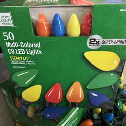 Home Accents Holiday Multi-Colored C9 LED Lights