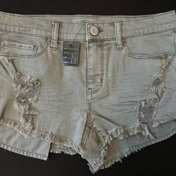 Women’s Mudd Shorts 