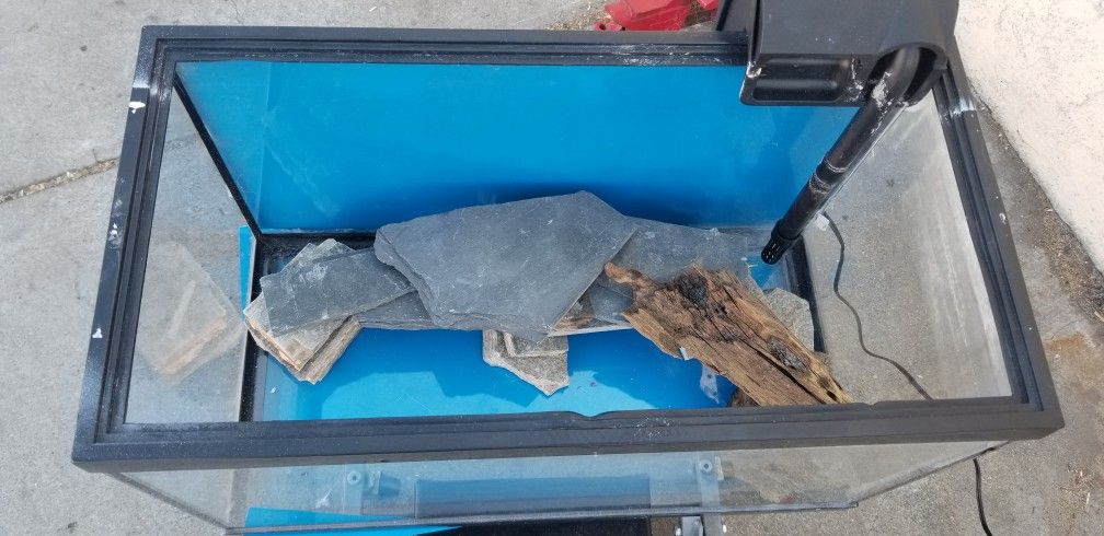 10 Gallon Used Fish Tank With Filter And Rock Formations