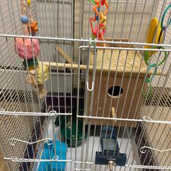 Cage With All Accessory 