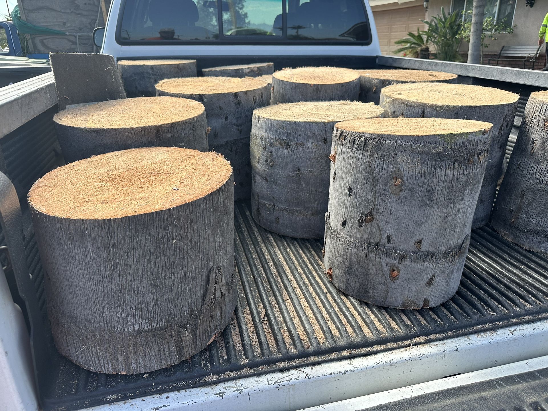 Palm Tree Stumps/Stands