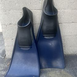 Flippers