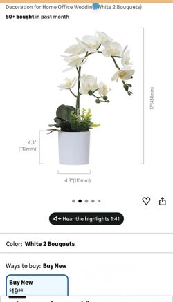 White Orchid Artificial Flowers in Pot (3 pc)