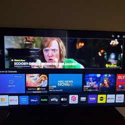 65 Inch LG TV