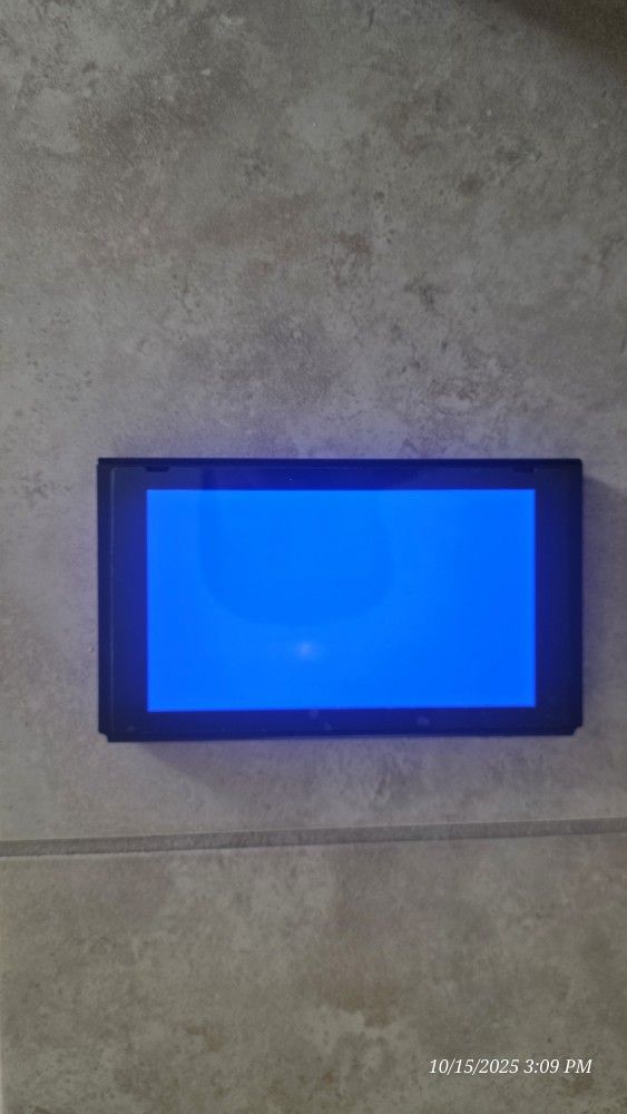 Nintendo Switch (Blue Screen Stuck) 