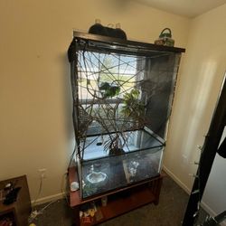 Reptile Enclosure