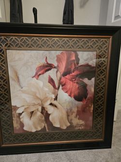Decorative Frames