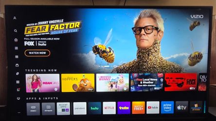 Vizio 55" Smart TV