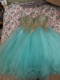 Quince or prom dress