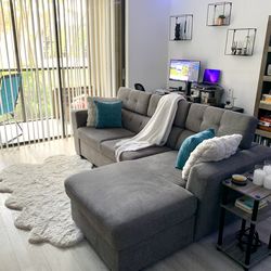 Gray/Taupe Sectional Pull-out Sofa