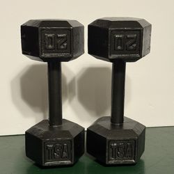 TSA 20 Lb Dumbbell Dumbbells Set